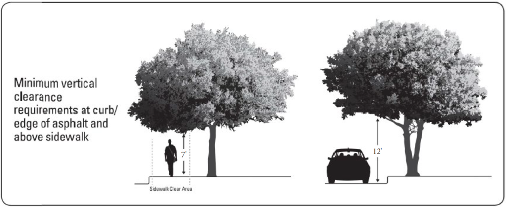 Tree clearance graphic