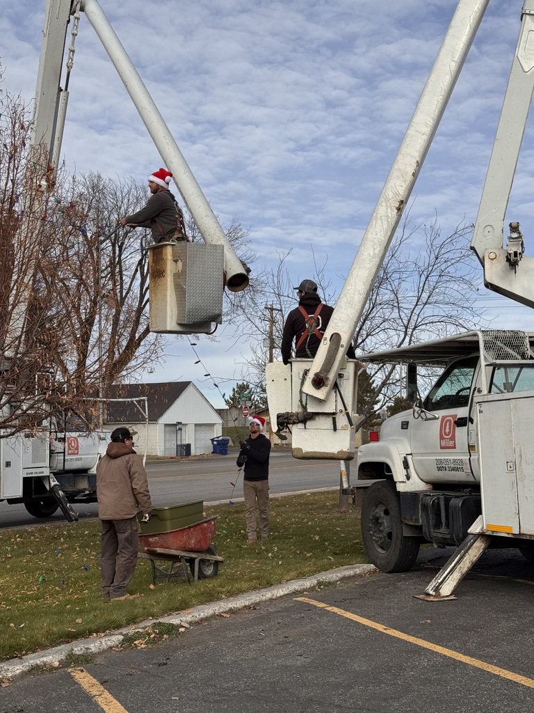 Three Miller Tree Service workers hang Christmas lights near a leafless tree using two bucket trucks. One worker in a Santa hat is elevated in a bucket attaching lights to the branches. Another worker stands beside the second bucket truck, and a third worker stands next to a red wheelbarrow holding a green storage bin. The scene takes place on a grassy area beside a parking lot under a partly cloudy sky.