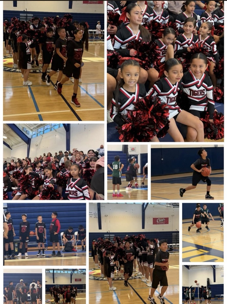  cheer  and basketball 