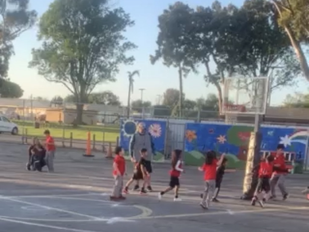 TK- 2nd grade basketball