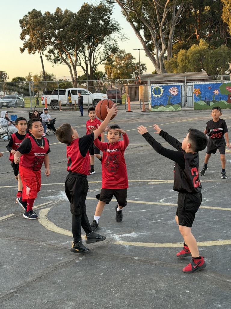 TK- 2nd grade basketball