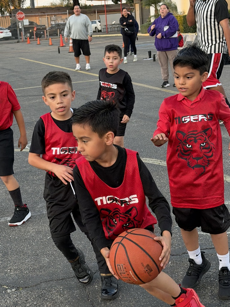 TK- 2nd grade basketball