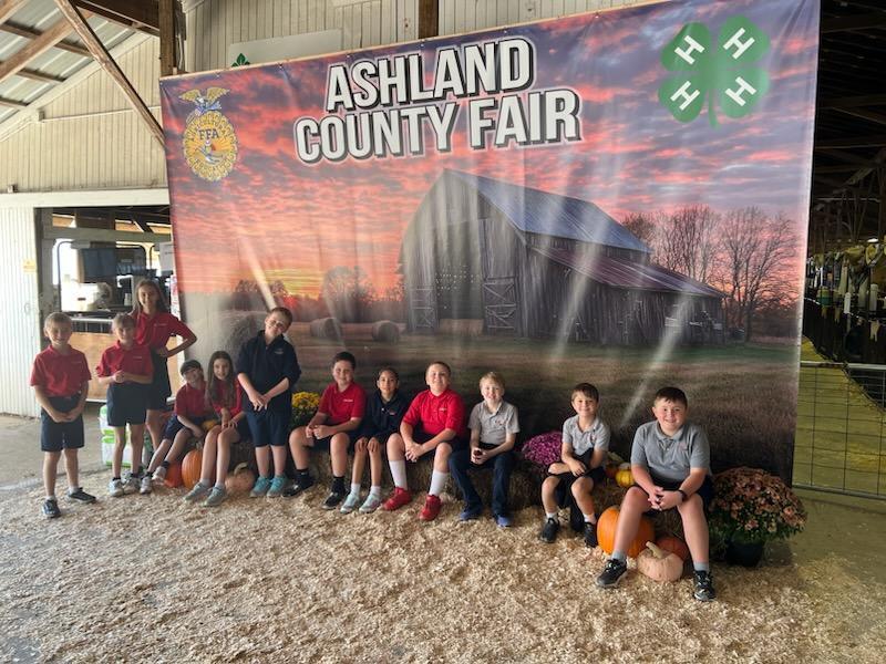 Fair 3