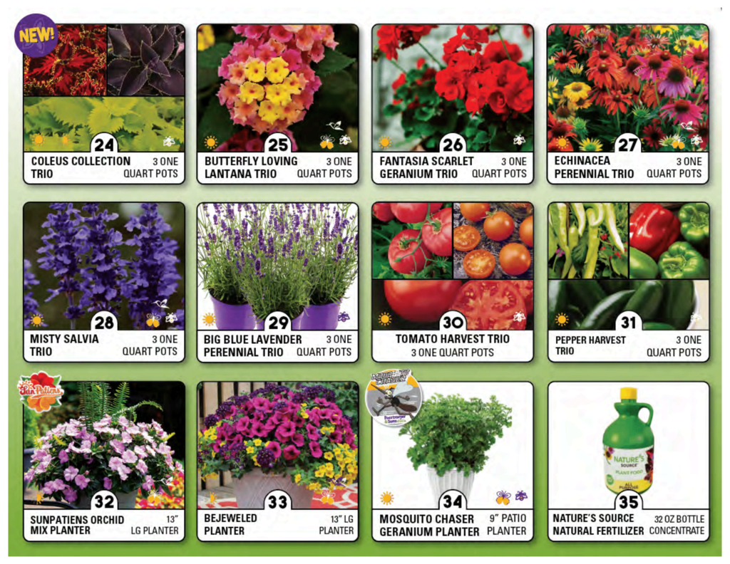 FS_Spring_2026_catalog_website (Page 4)