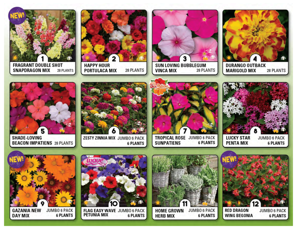 FS_Spring_2026_catalog_website (Page 2)