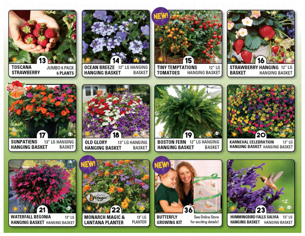 FS_Spring_2026_catalog_website (Page 3)