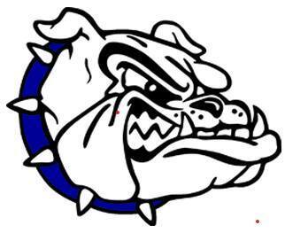 bulldog