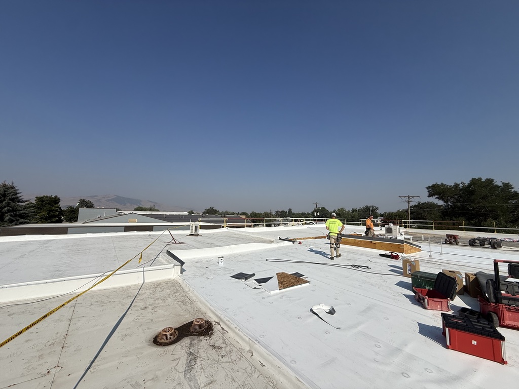 MS Roof