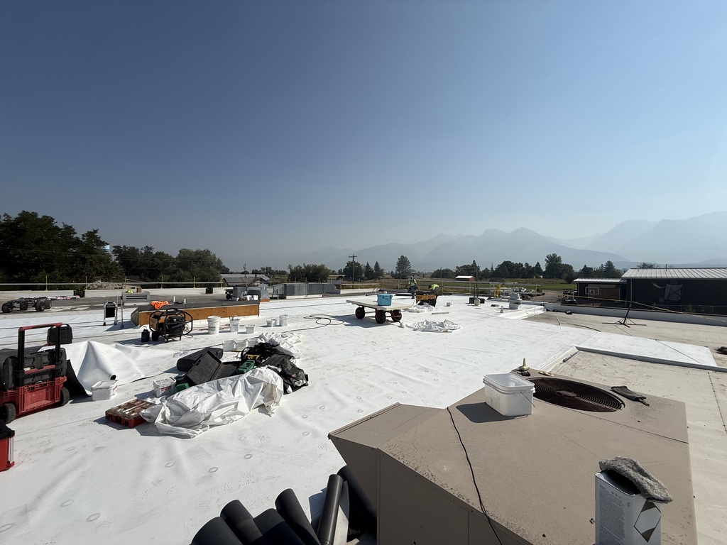 MS Roof