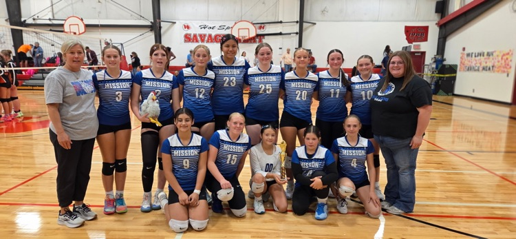 MSVB team photo