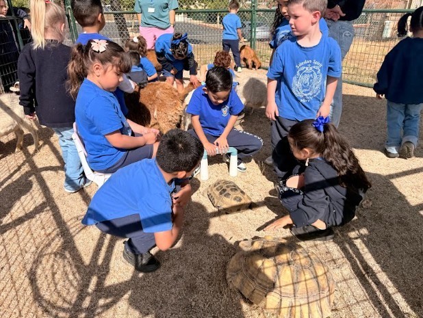 fieldtrip