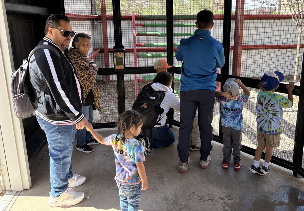 Prek zoo visit