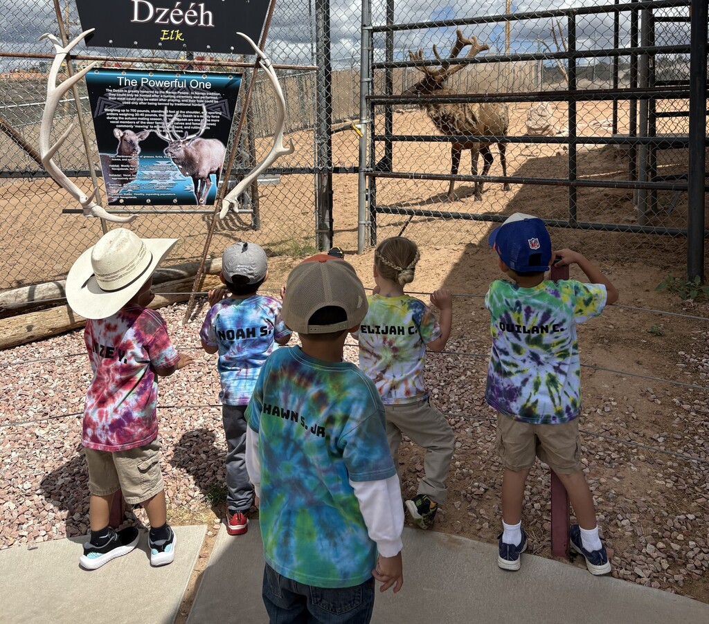 Prek zoo visit