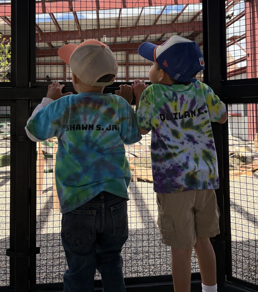 Prek zoo visitPrek zoo visit