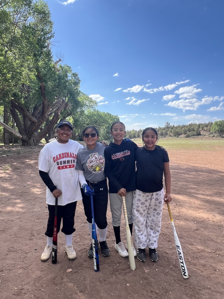 Summer Softball Camp