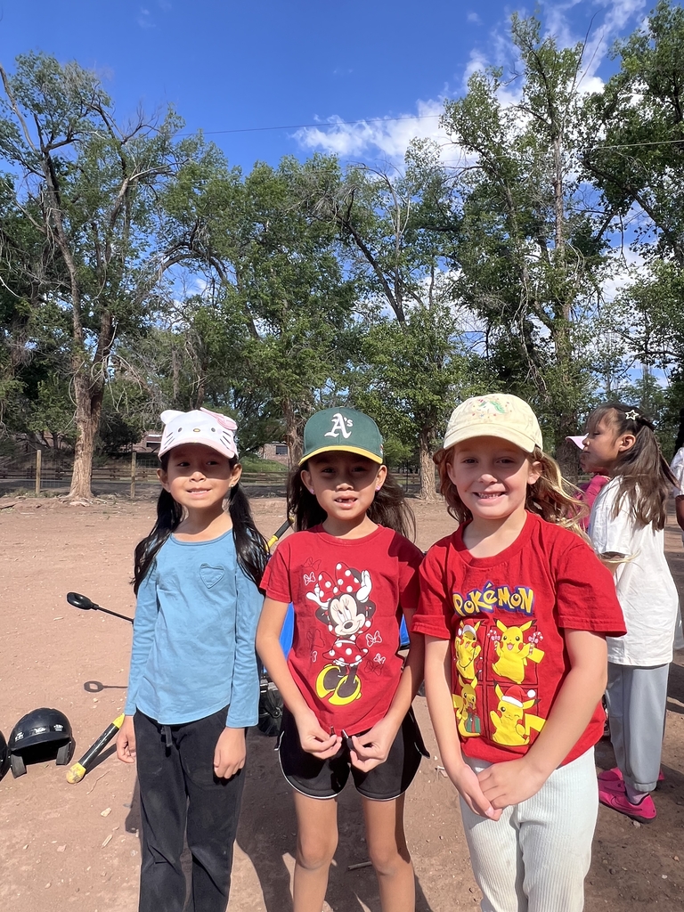 Summer Softball Camp
