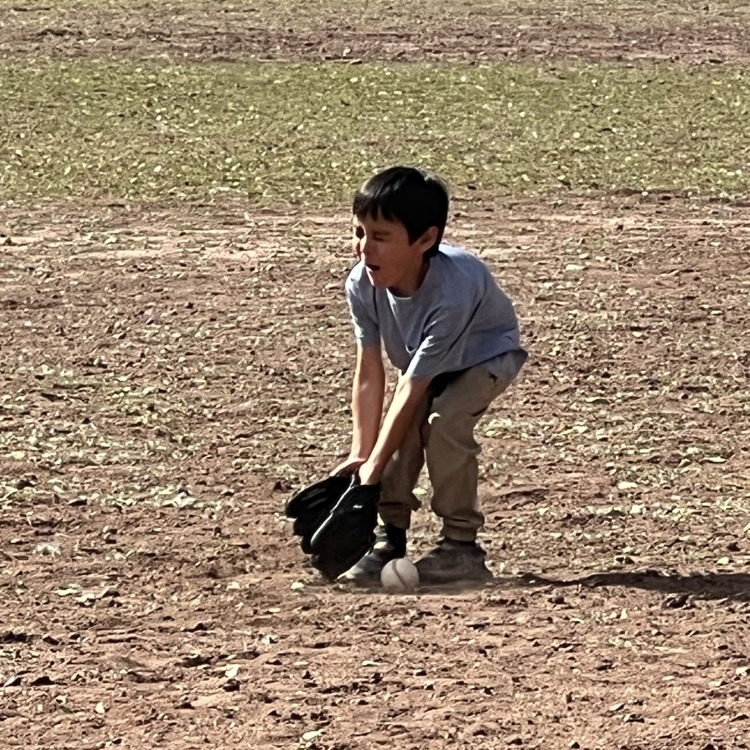 Baseball camp