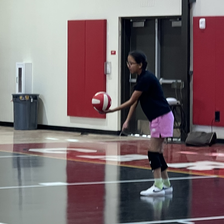 volleyball camp