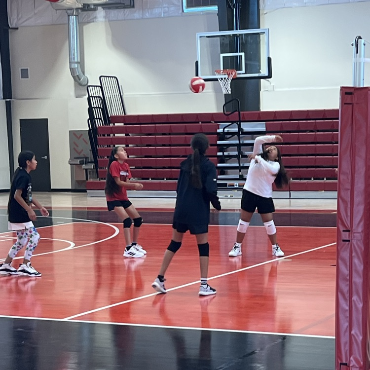 volleyball camp
