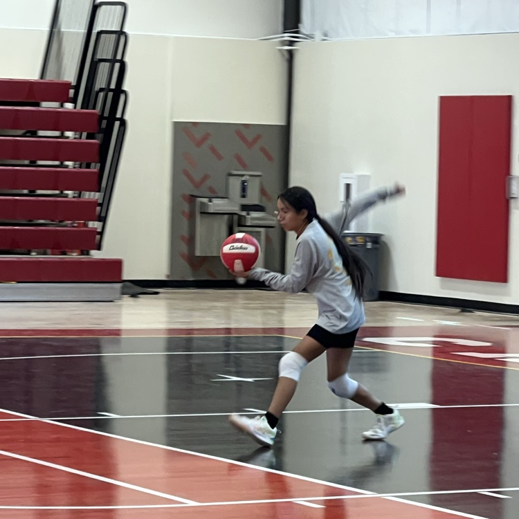 volleyball camp