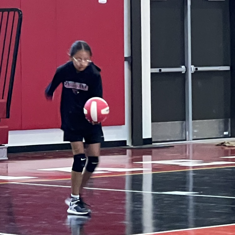 volleyball camp