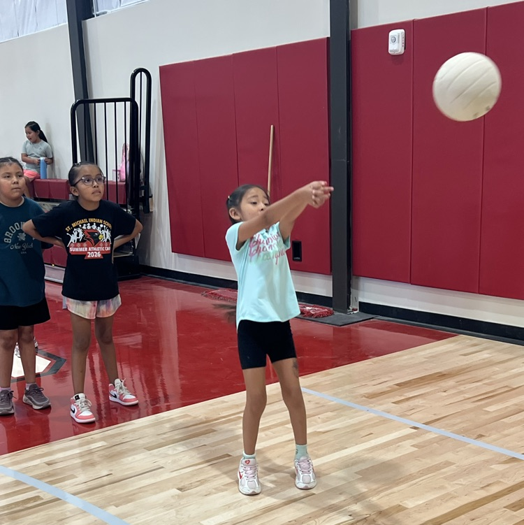 volleyball camp