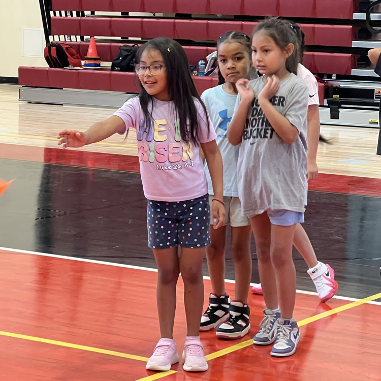 Basketball Camp