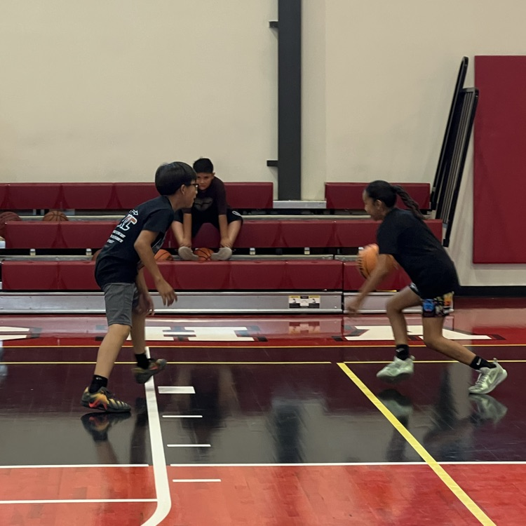 Basketball Camp