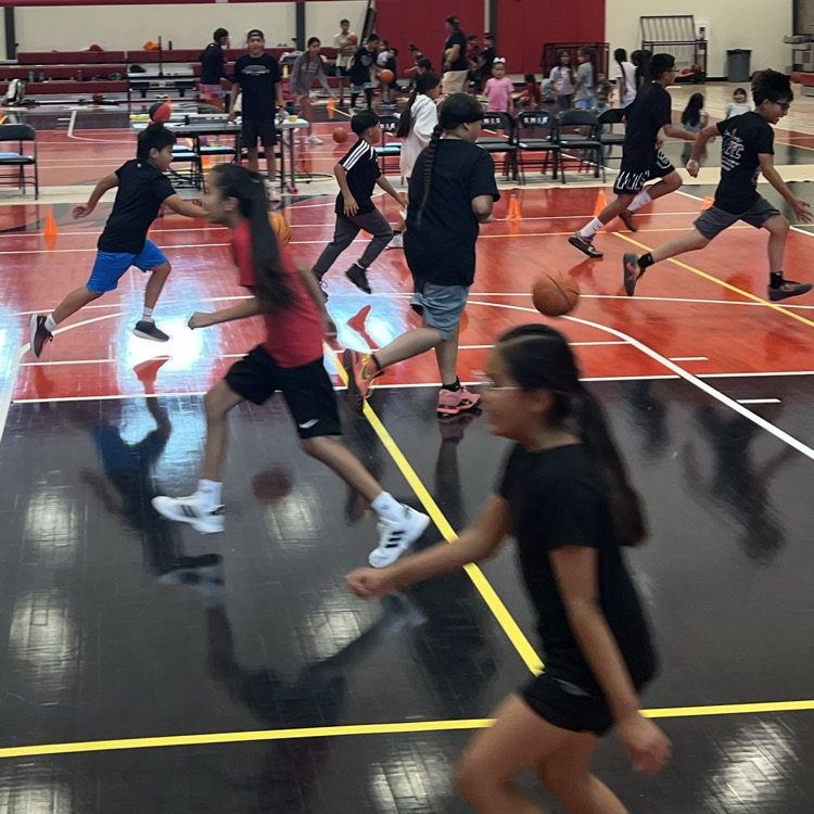 Basketball Camp