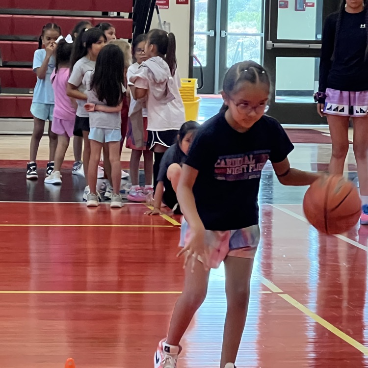 Basketball Camp