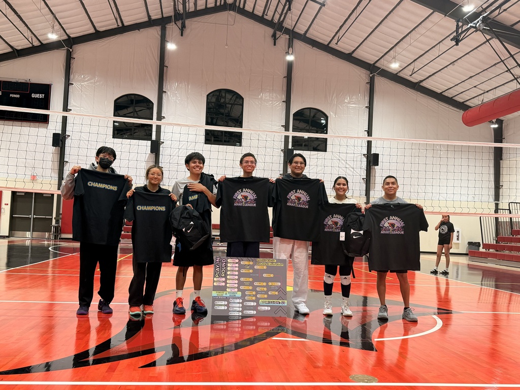 Adult Volleyball Championship