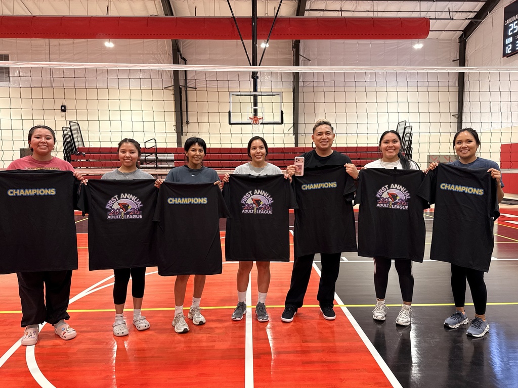 Adult Volleyball Championship
