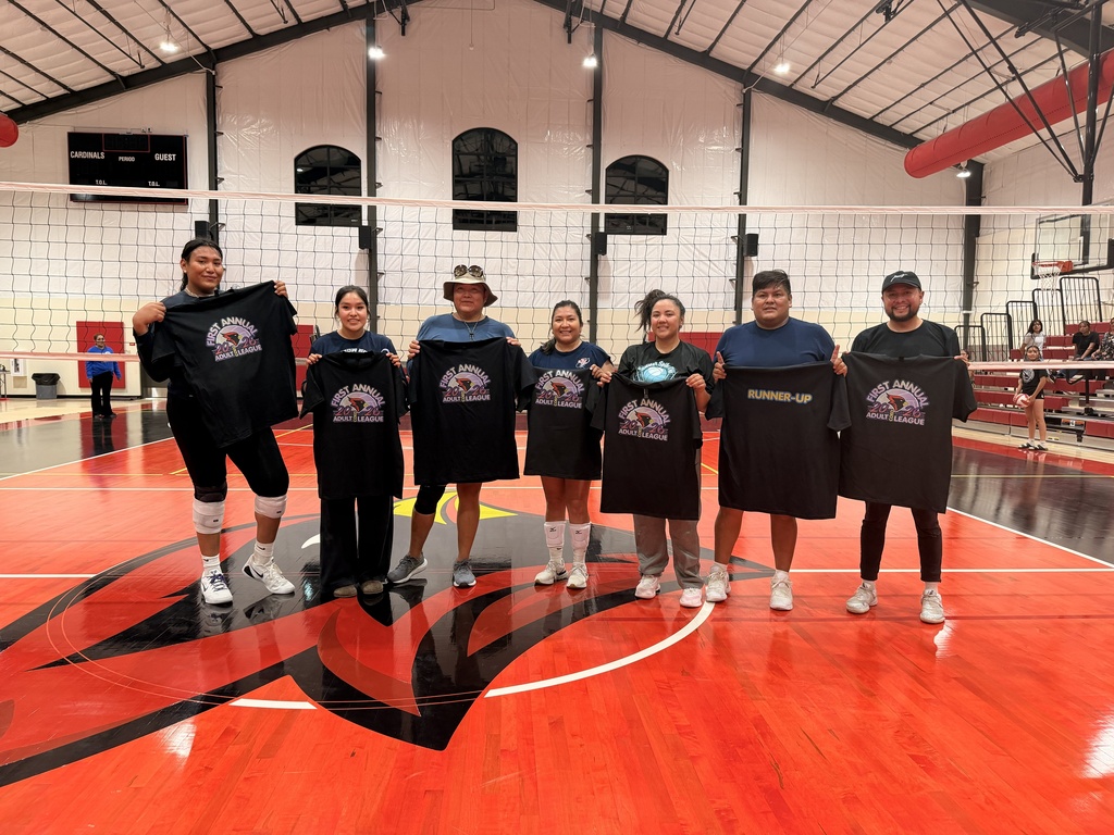 Adult Volleyball Championship