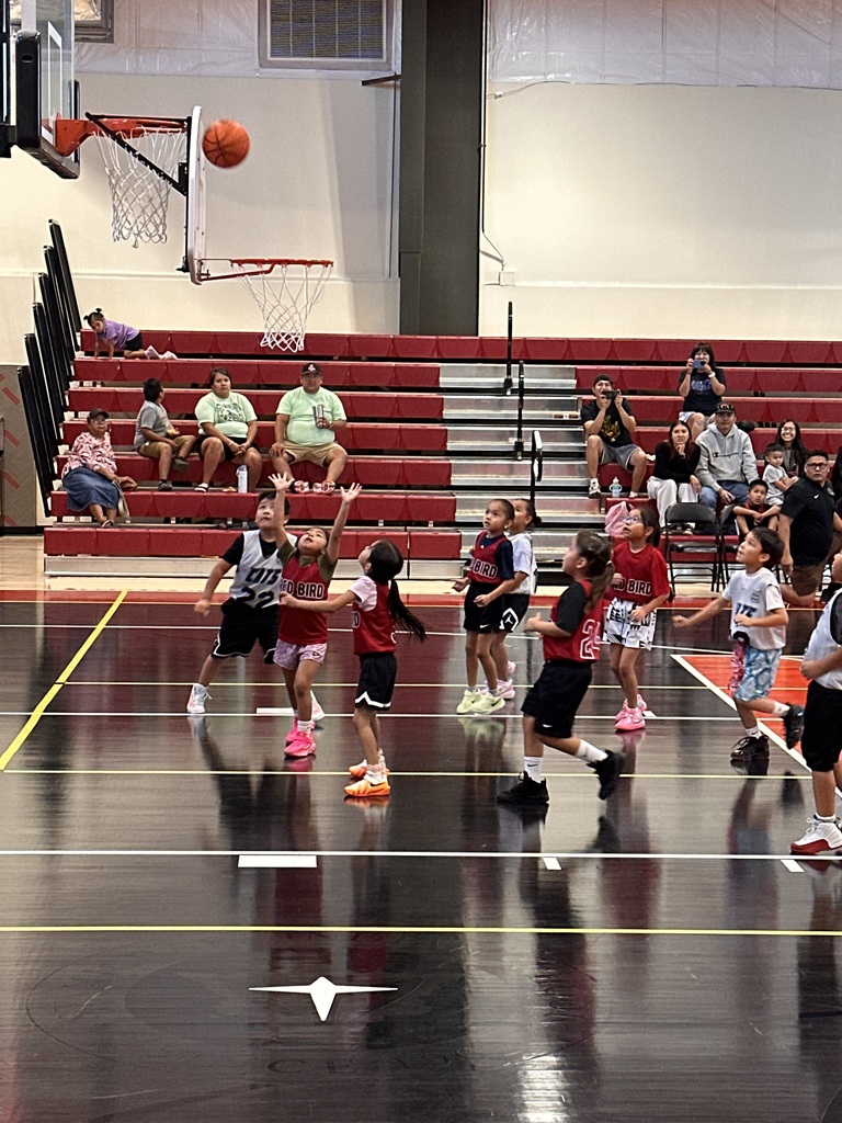 Players reaching for the basketball