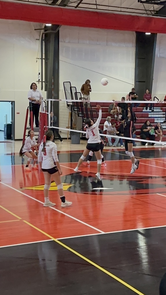 Volleyball net action