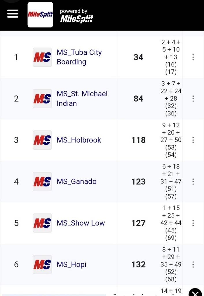 SMIS girls team placed 2nd out of 15 teams