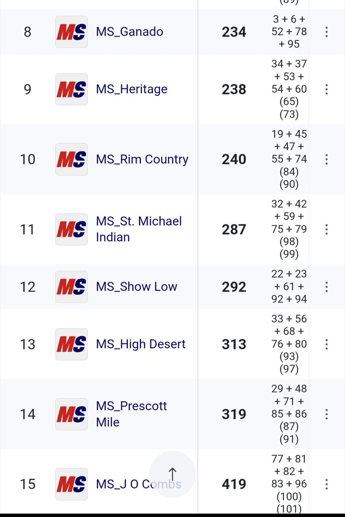 Boys placed 11th out of 15 teams