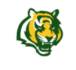 Tiger head