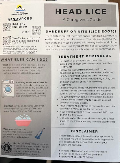 Head Lice