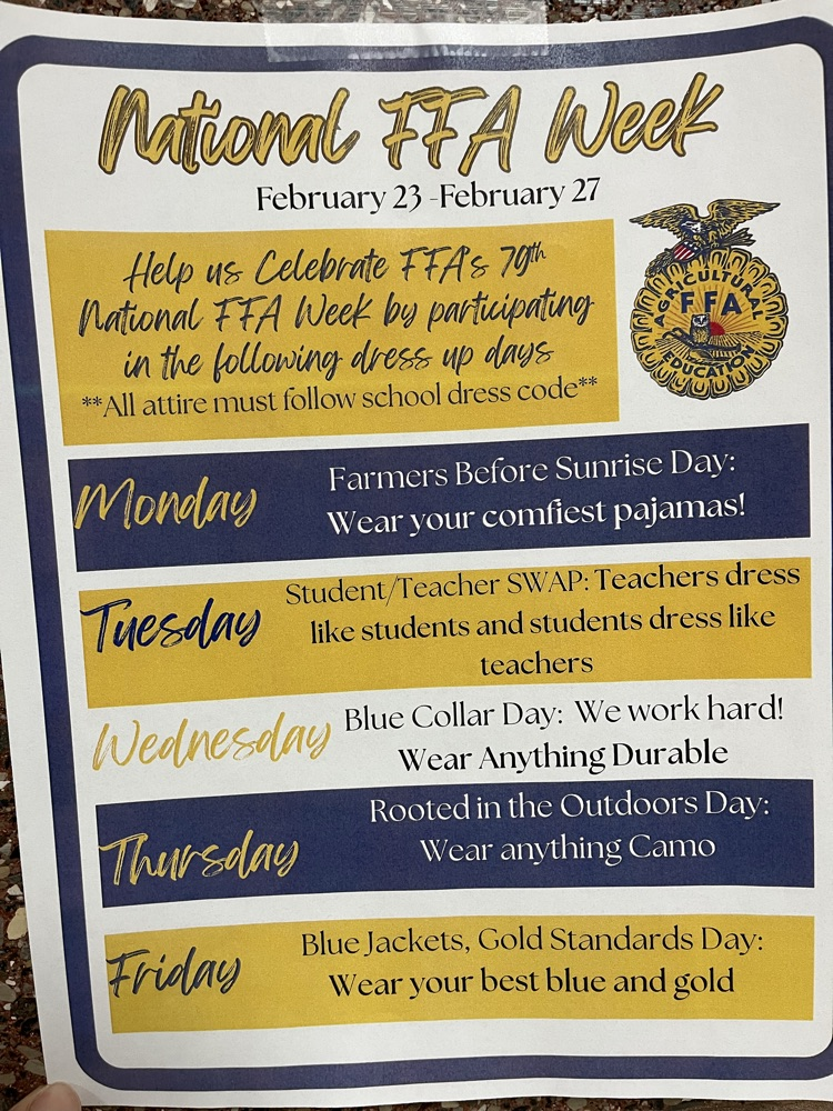 ffa dress up 