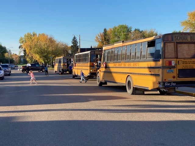 Children Safely Crossing the road.