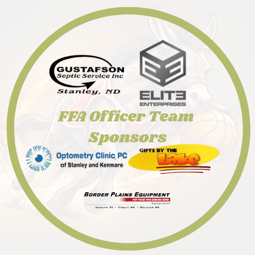 Donkey Basketball Sponsors and Teams