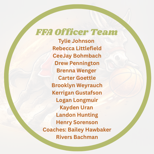 Donkey Basketball Sponsors and Teams