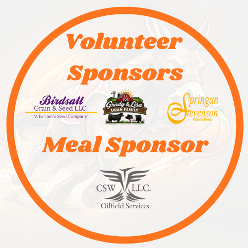 Donkey Basketball Sponsors and Teams