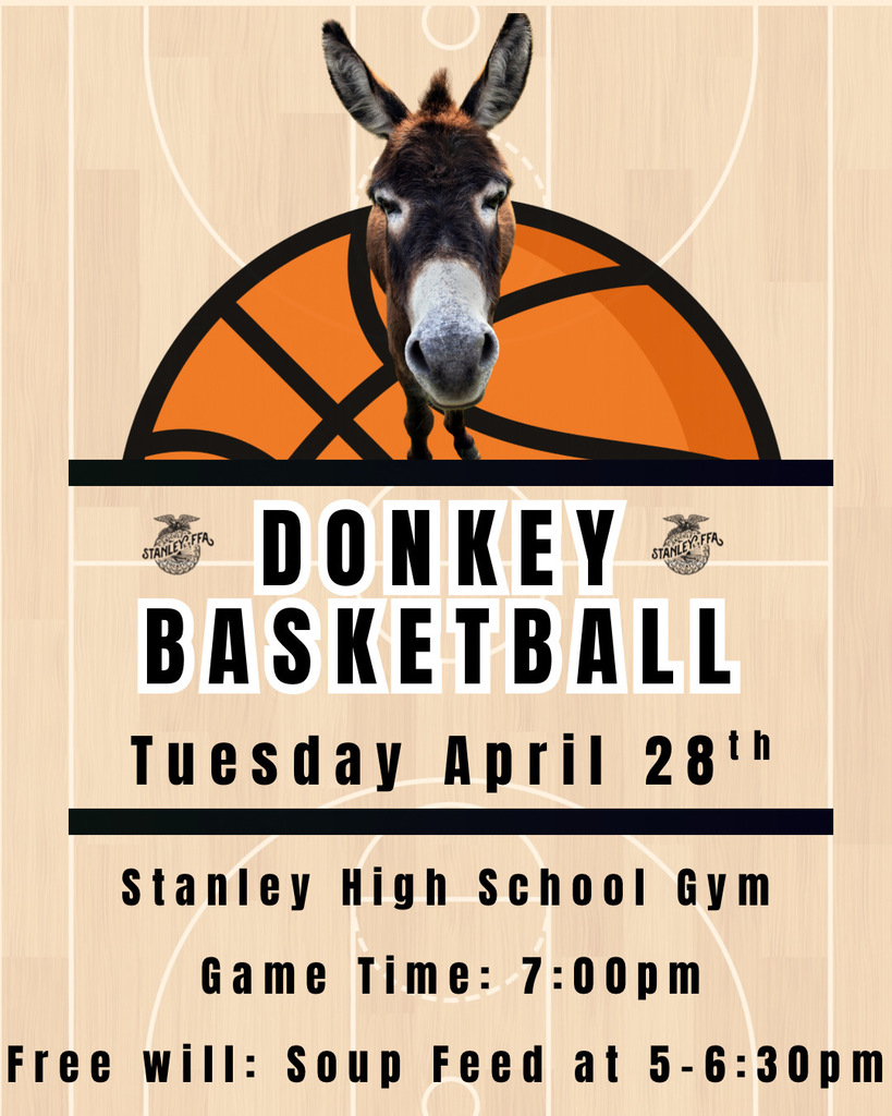 Donkey Basketball