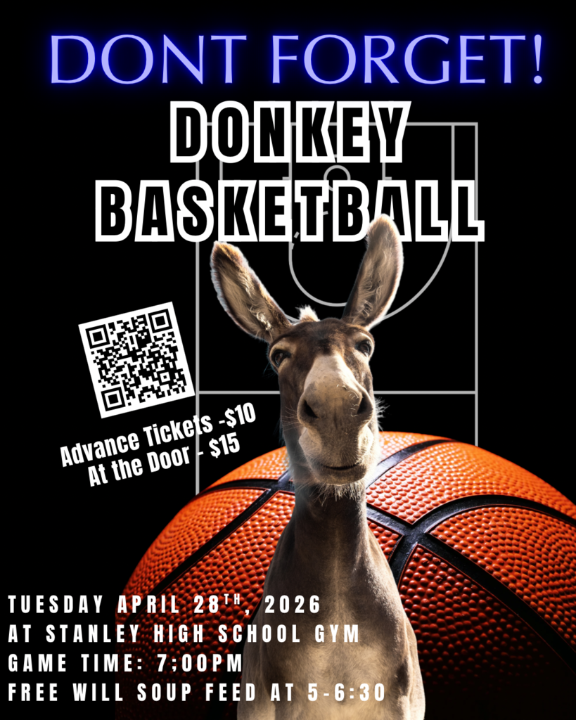 Donkey Basketball