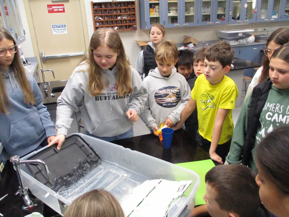 cornelison science projects