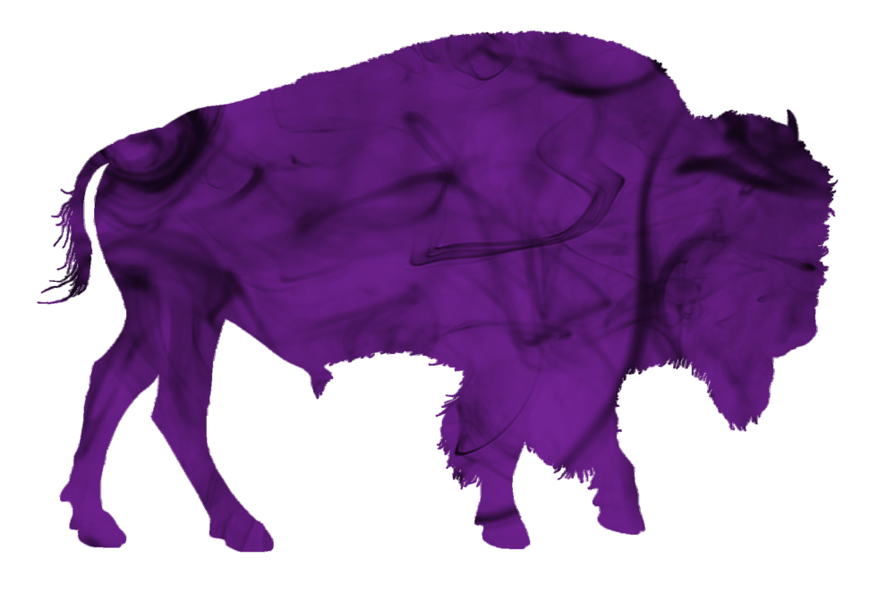 buffalo