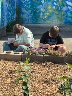 butterfly research