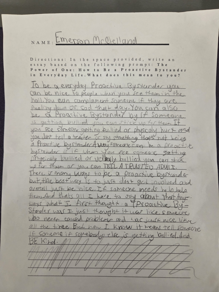 essay